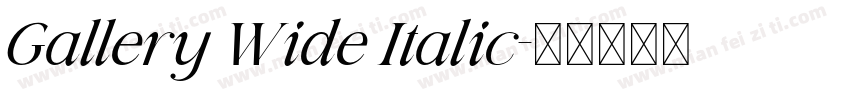 Gallery Wide Italic字体转换